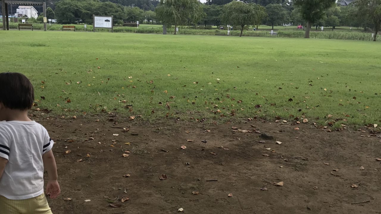 1歳7ヶ月の成長記録 夏の遊びを満喫した1ヶ月 ママコトライフ